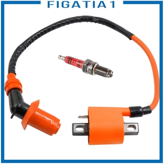 ( Figatia1 ) คอยล์จุดระเบิดมอเตอร์ + D8Tc หัวเทียนสําหรับ Cg125 Cg150 Cg200