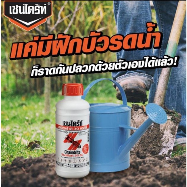 chaindrite-stedfast-30sc-น้ำยากำจัดปลวก-500-ซีซี-เชนไดร้ท์สเตดฟาส-30sc-น้ำยาฆ่าปลวก-สูตรน้ำ-ราดพื้น-พ่น