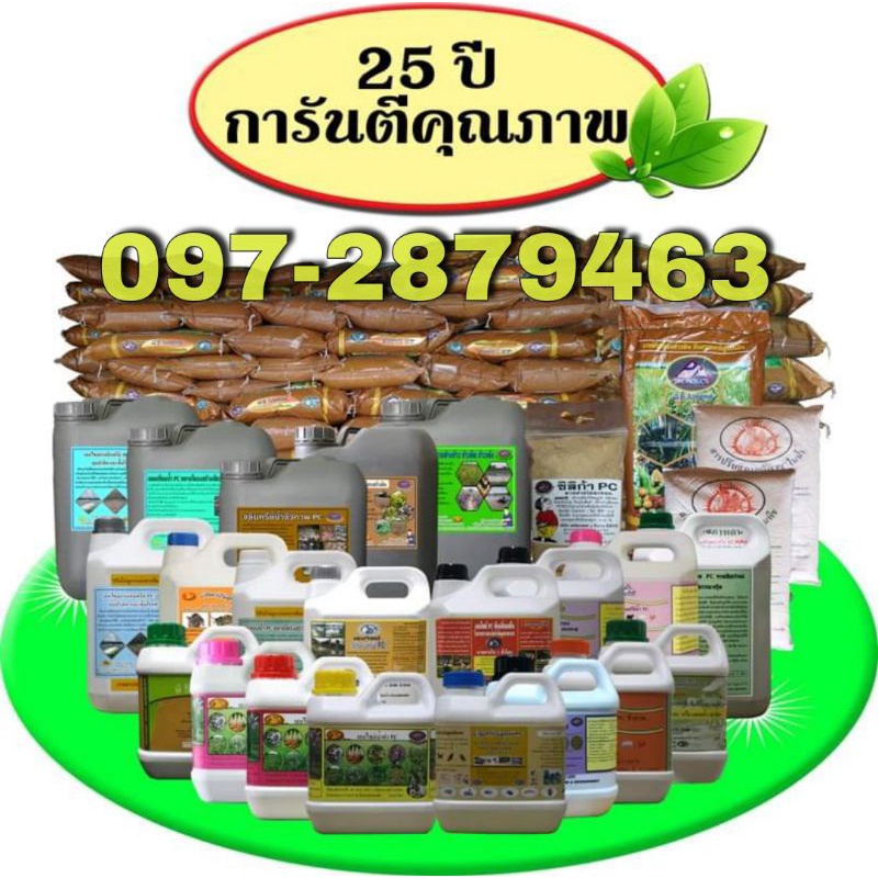 เอนไซม์น้ำดำ-pc-ฝาเหลือง-พรชัยเกษตร-1-ชีวภาพ-ฮอร์โมนเข้มข้น