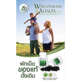 ภาพขนาดย่อของภาพหน้าปกสินค้า(2 กระปุก) Wheatgrass & Alfalfa Plus ผักอัดเม็ด วีทกราสและอัลฟัลฟา แอมสตรองเน็ตเวิร์ค จากร้าน sunshyy บน Shopee ภาพที่ 6