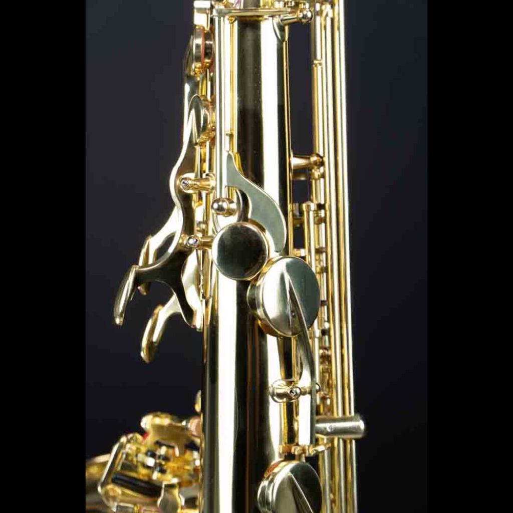 แซ็กโซโฟน-coleman-standard-tenor-gold-coleman-standard-tenor-gold-tenor-saxophone