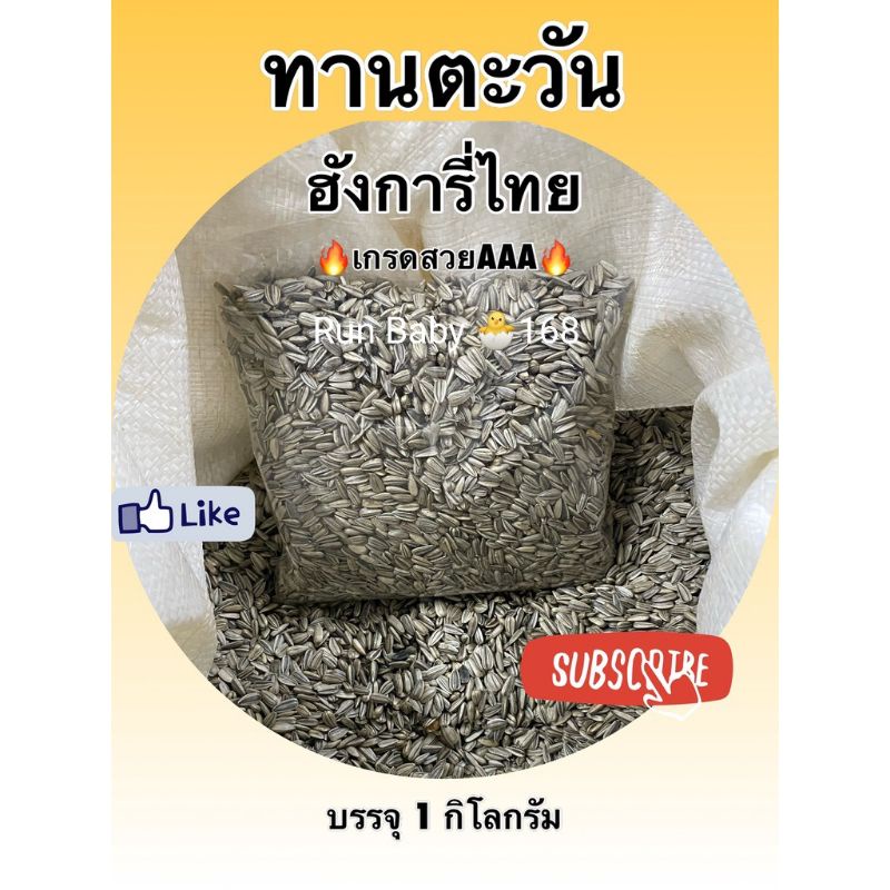 ภาพหน้าปกสินค้าทานตะวันนกแก้ว *เล็ก*ขนาด 1Kg. ธัญพืช อาหารนก อาหารนกเล็ก เลิฟเบิร์ด หงหยก ฟอพัส อาหารนกแก้ว ธัญพืชนก จากร้าน runbaby168 บน Shopee