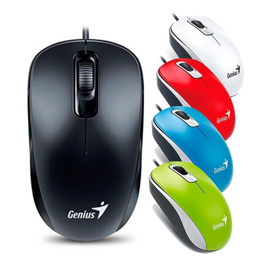 เม้าส์-mouse-genius-รุ่น-dx-110-optical-usb