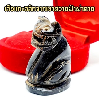 เสือแกะสลักจากเขาควายฟ้าผ่าตาย ตามตำราหลวงพ่อปาน วัดคลองด่าน สุดยอดเจ้าตำราการปลุกเสกเสือ สามารถปลุกเสกให้เป็นสิ่งมีชีวิ