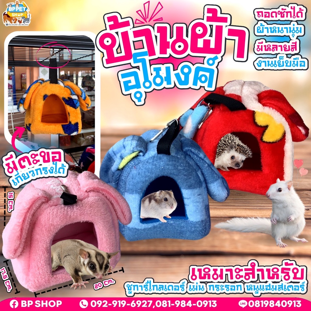 บ้านผ้าชูก้าร์-ที่นอนชูก้าร์-บ้านกระรอก-ที่นอนกระรอก-ลิงมาโมเสท-บ้านนกแก้ว-บ้านลอป-พร้อมจัดส่ง