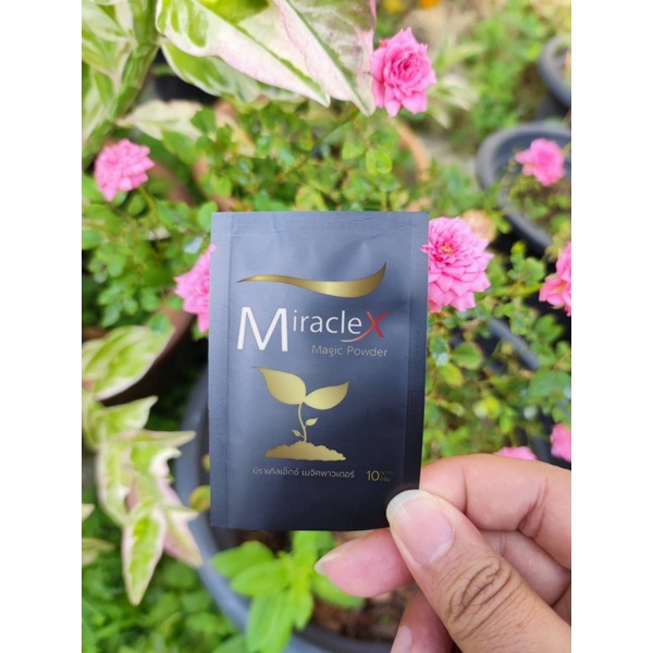 miracle-x-มิราเคิล-เอ็กซ์-ผง-ช่วยสร้างระบบราก-ทำให้รากแข็งแรง-เพิ่มจำนวนราก-ระบบรากดีขึ้น-รากออกสม่ำเสมอ-ขนาด-10-กรัม