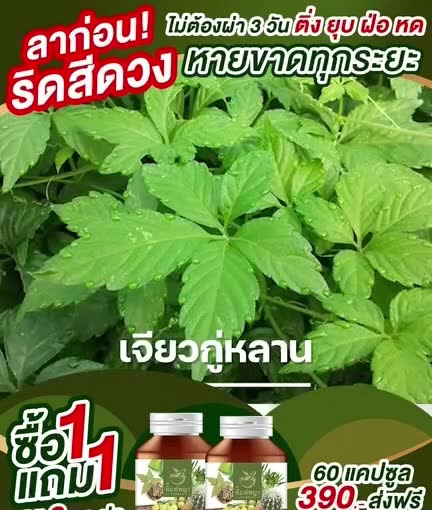 สเปรย์สมุนไพร-รักษาโรคริดสีดวงทวาร-สําหรับผู้ใหญ่-ริชชี่พิมพ์พญา-สเปรย์ริดสีดวง-ฉีด-พ่น-ยุบ-30ml-ส่งฟรี