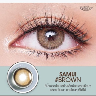 คอนแทคเลนส์ DreamColor1 ลาย Samui brown