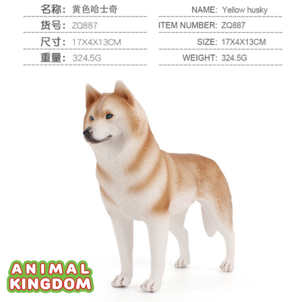 animal-kingdom-โมเดลสัตว์-สุนัข-หมาไซบีเรียนฮัสกี-แดง-ขนาด-17-00-cm-จากหาดใหญ่