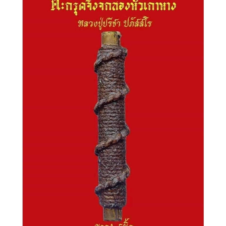 ตะกรุดจิ้งจกสองหัวเก้าหาง-หลวงปู่ปรีชา-ปภัสสโร-เสน่ห์โชคลาภแรงจริง-เรื่องเสน่ห์ต่อเพศตรงข้ามแรงมาก-ลงยันต์-จิ้งจกสอง