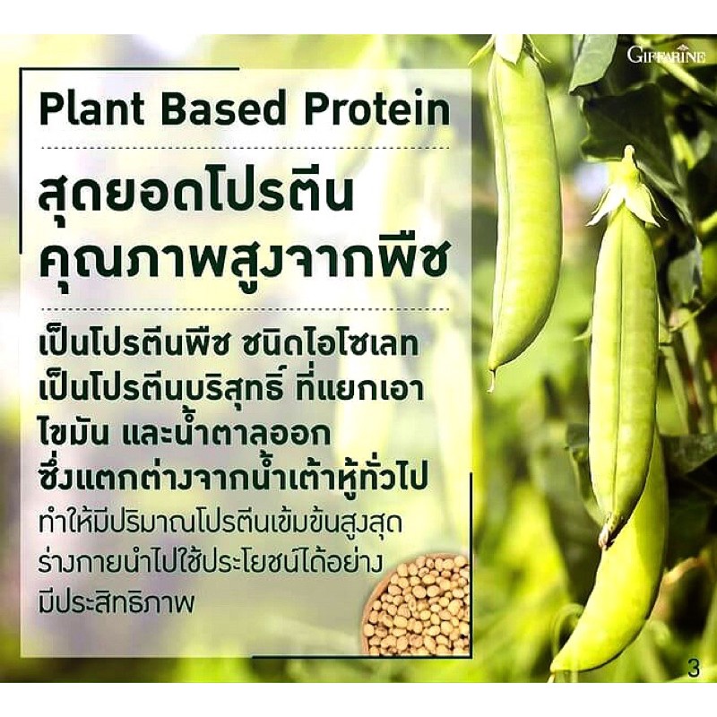 ฟรีค่าส่ง-โปรตีนพืช100-วีแกนมัลติแพลนท์โปรตีนกิฟฟารีน-มี-2-ขนาด