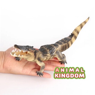 Animal Kingdom - โมเดลสัตว์ จระเข้ ครีมดำ ขนาด 25.00 CM (จากสงขลา)