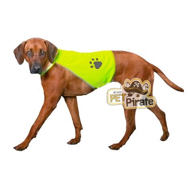 เสื้อสุนัขลายเท้าหมาเรืองแสงในที่มืด ช่วยเสริมความปลอดภัยของสุนัขเวลาออกมาเดินเล่นตอนกลางคืน  | Shopee Thailand