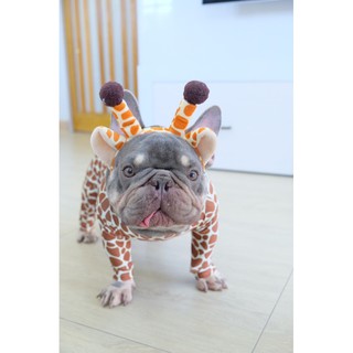 ชุดกันขนร่วงCrazydog Giraffe