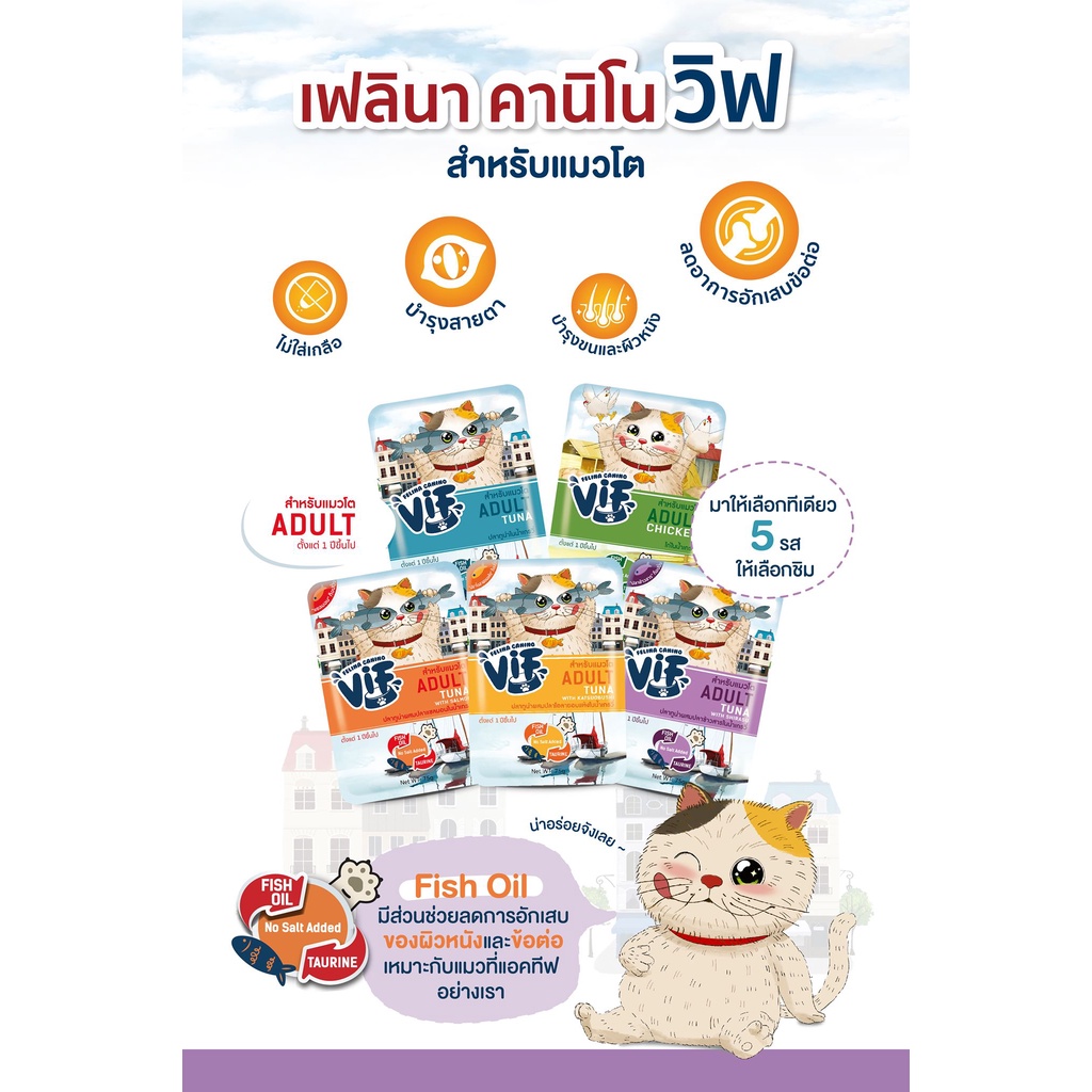 อาหารเปียก-มูส-อาหารเปียกแมว-felina-canino-vif-75-กรัม