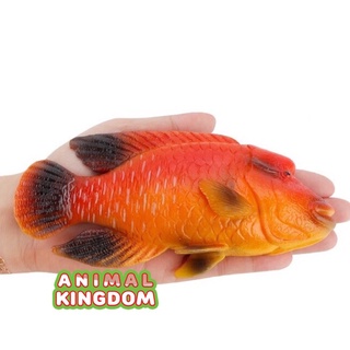 Animal Kingdom - โมเดลสัตว์ ปลานกขุนทอง ส้ม ขนาด 16.30 CM (จากสงขลา)