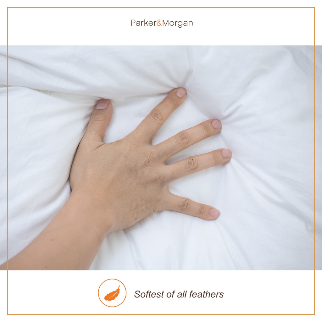 Parker&Morgan รุ่น Belgravia ไส้ผ้านวมขนห่านแท้ 90/10 ขนาด King มอบสัมผัสแห่งการพักผ่อนระดับพรีเมียม ปรับอุณหภูมิให้พอเหมาะกับร่างกายคุณตลอดคืนเพื่อการนอนหลับที่สมบูรณ์แบบที่สุด