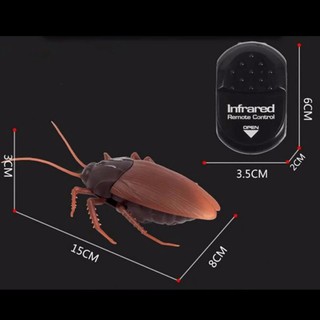 GIANT ROACH แมลงสาบ บังคับด้วยรีโมท เคลื่อนไหวได้เหมือนจริง