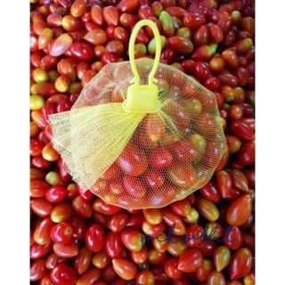 ภาพขนาดย่อของภาพหน้าปกสินค้ามะเขือเทศราชินี มะเขือเชอร์รี่​ cherry tomato 500g จากร้าน keenasmustard บน Shopee