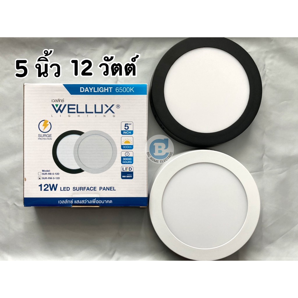 ดาวน์ไลท์ติดลอย-สีขาว-ดำ-wellux