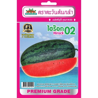 เมล็ดพันธุ์ แตงโมลูกผสม ไฮร๊อค 02 บรรจุ 1 กรัม/ซอง ตราตะวันต้นกล้า