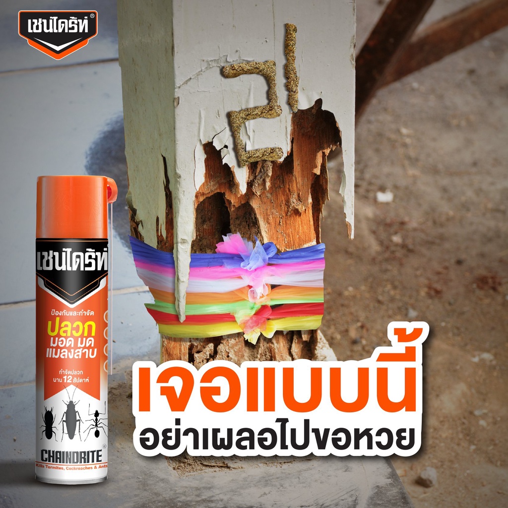 chaindrite-เชนไดร้ท์-สเปรย์-กำจัดปลวก-มอด-มด-แมลงสาบ-450-ml-600ml-สเปรย์กำจัดปลวก-มด-แมลงสาบ