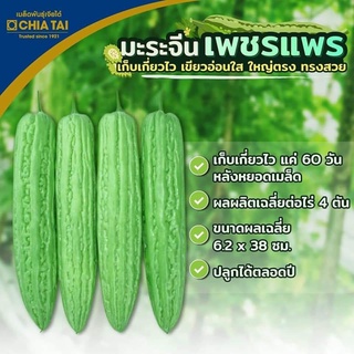 มะระจีน เพชรแพร ตราเจียไต๋ ขนาด100กรัม สีเขียวอ่อน ผิวมัน ผลใหญ่ตรง ทรงผลสวย