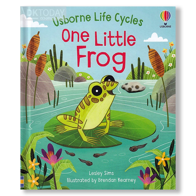 dktoday-หนังสือ-usborne-life-cycles-one-little-frog-age-3