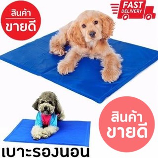 Pet cool mat ที่นอนเจลเย็นหมา แผ่นเจลรองนอนหมา แผ่นเจลเย็น MD 50cm X 65cm เหมาะสำหรับหน้าร้อน ตากแดด เบาะก้ยังเย็นอยู่