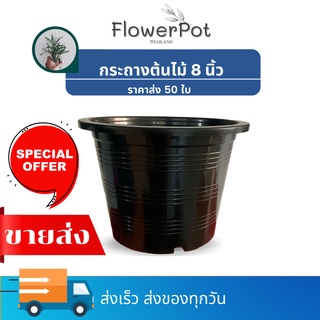 [50ใบ]  กระถางต้นไม้ 8 นิ้ว ปากกว้าง 7.5   กระถางพลาสติก กระถางมินิมอล