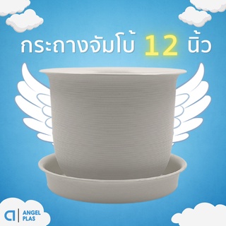 กระถางต้นไม้ใหญ่
กระถางต้นไม้
กระถางต้นไม้มินิมอล
กระถางจัมโบ้ 12 นิ้ว สีขาว