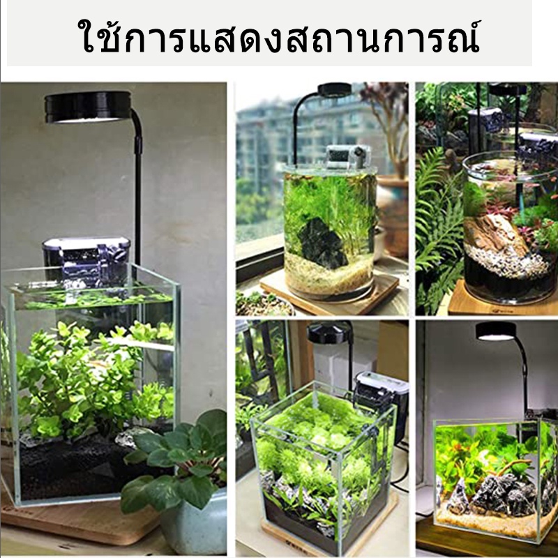 ภาพสินค้าไฟภูมิทัศน์ขนาดเล็ก 10W LED เติมแสงพิพิธภัณฑ์สัตว์น้ำพืชแสง USB เติมแสง ไฟเติมพืช จากร้าน cu95r7tyev บน Shopee ภาพที่ 2