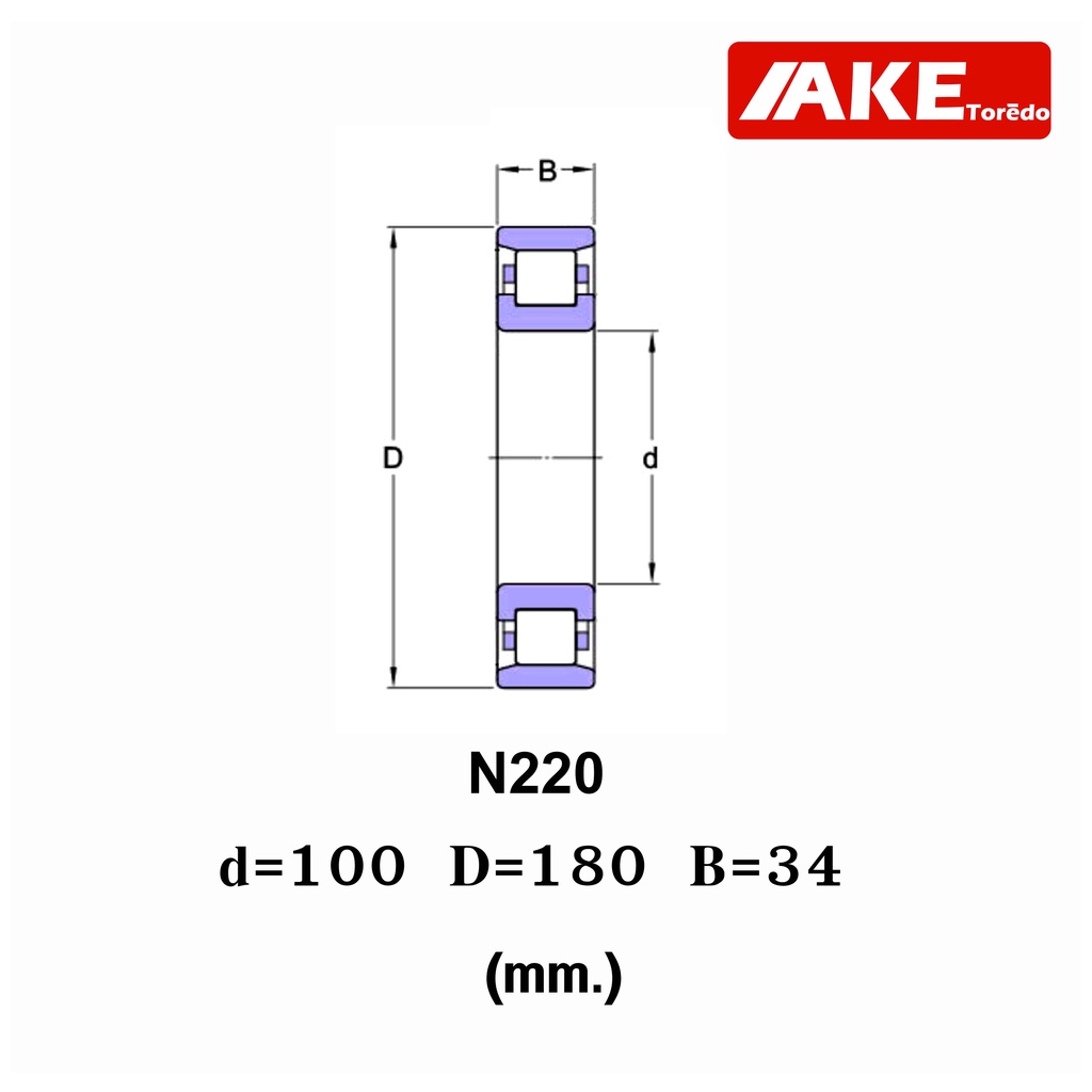 n216-n218-n219-n220-ตลับลูกปืนลูกกลิ้งทรงกระบอก-cylindrical-roller-bearings-ตลับลูกปืนเม็ดทรงกระบอก