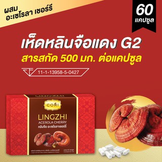 สินค้า เห็ดหลินจือแดง สกัดเข้มข้น 500 มก. (60แคป) ผสมอะเซโรล่า เชอร์รี่ เห็ดหลินจือแดงสกัด เห็ดหลินจือสกัด เห็ดหลินจือแคปซูล