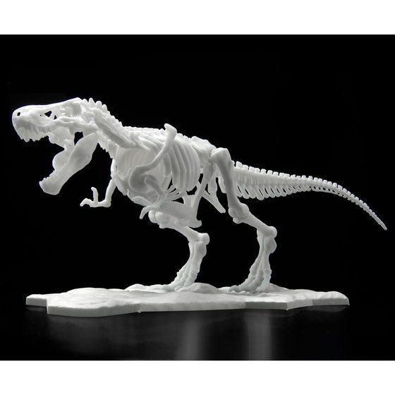 พร้อมส่ง-dinosaur-model-kit-limex-skeleton-tyrannosaurus-โมเดล-โครงกระดูก-ไดโนเสาร