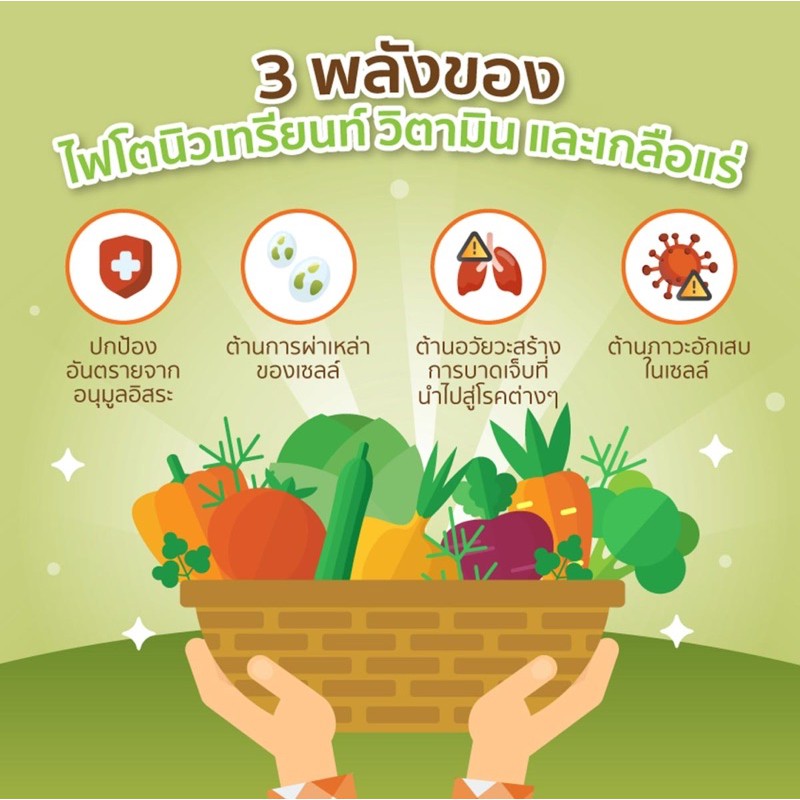 ภาพสินค้านิวทริไลท์ เฮอร์บัล มิกซ์ แอมเวย์ Amway ของแท้ของใหม่ ฉลากไทยแท้ 100% จากร้าน healthy2go บน Shopee ภาพที่ 3