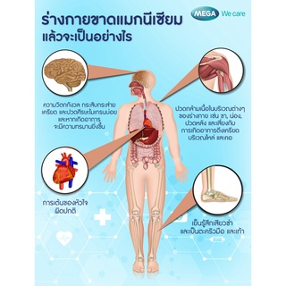 ภาพขนาดย่อของภาพหน้าปกสินค้าของแท้ แมกนีเซียม เม็ดฟู่ Swisse Ultiboost Magnesium Effervescent 300mg จากร้าน mommysanfrann บน Shopee ภาพที่ 3