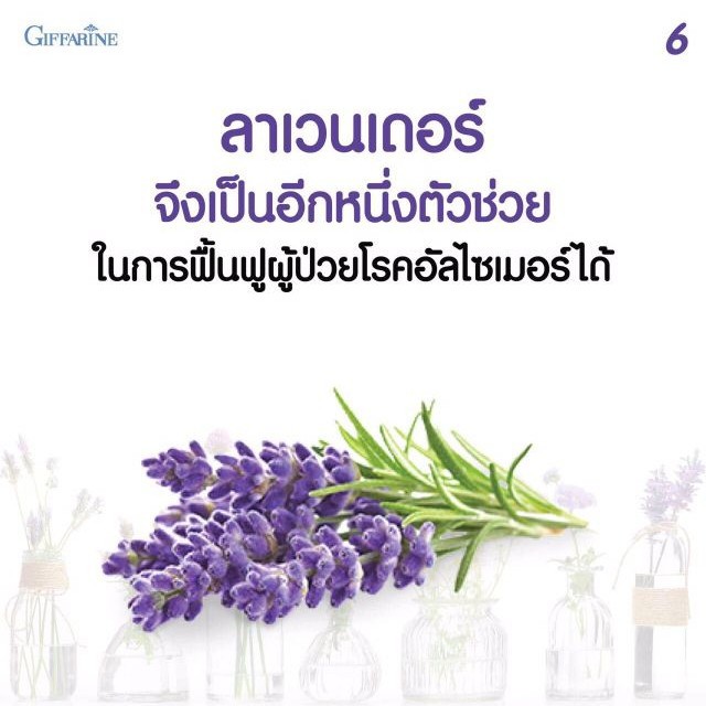 สเปรย์ปรับอากาศ-ในรถ-ในห้อง-ในตู้-กลิ่นลาเวนเดอร์-sleeping-spray-หลับสบาย-ผ่อนคลาย-กิฟฟารีน-giffarine-อโรม่า-เครื่องพ่น