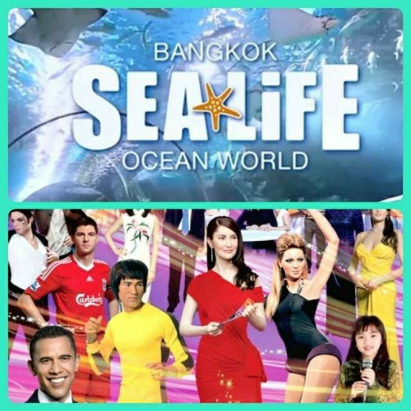 ภาพหน้าปกสินค้าบัตรเข้าSealife Ocean World สยามพารากอน (ซีไลฟ์ โอเชี่ยนเวิลด์) sea life