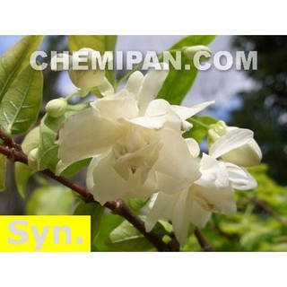 [CHEMIPAN] หัวน้ำหอม กลิ่นดอกโมก (Moke Fragrance) 25g.