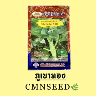 เมล็ดพันธุ์ คะน้าเห็ดหอม เอ็ม ที Chinese kale ตราภูเขาทอง ปริมาณ 2 กรัม