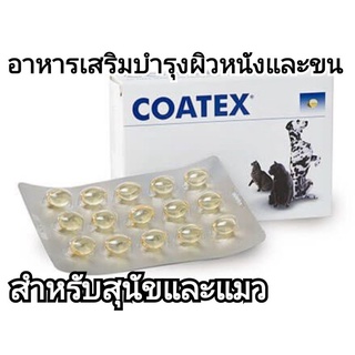 coatex 4กล่อง 240 capsule exp01/2024 (1กล่อง=60capsule) coatex vetplus บำรุงขนสุนัข บำรุงขนแมว