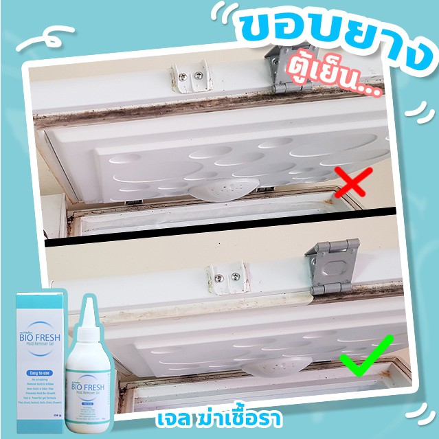 biofresh-set-2-เจลกำจัดเชื้อรา-เชื้อราในห้องน้ำ-ร่องยาแนว-1-แถม-1-น้ำยาขจัดคราบน้ำ-1-ขวด-ก๊อกน้ำ-กระจก-สแตนเลส