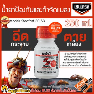 CHAINDRITE Stedfast 30 SC น้ำยากำจัดปลวก มด มอด และแมลงอื่นๆ ประเภทเปสรย์ แอโรโซล (อัดแก๊สพร้อมฉีด) จัดส่ง KERRY