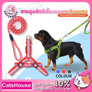สายจูงสุนัขสะท้อนแสงกลางคืน สายจูงสัตว์เลี้ยง สายจูงแมว สายจูงสุนัข อุปกรณ์สัตว์เลี้ยง