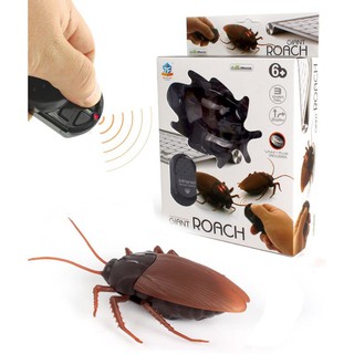 แมลงสาบบังคับแมลงสาบบังคับวิทยุลิขสิทธิ์แท้ brand giant roach