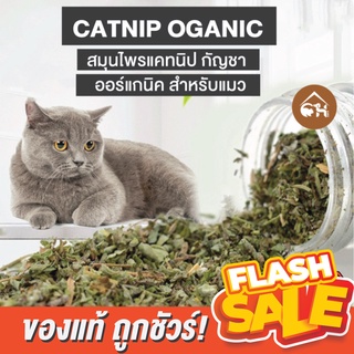 ภาพหน้าปกสินค้า🔥ถูกสุด! พร้อมส่ง🔥Catnip Oganic กัญชาแมว สมุนไพรแคทนิป กัญชา ออร์แกนิค สำหรับแมว แบบกระปุก แบบหลอด ที่เกี่ยวข้อง