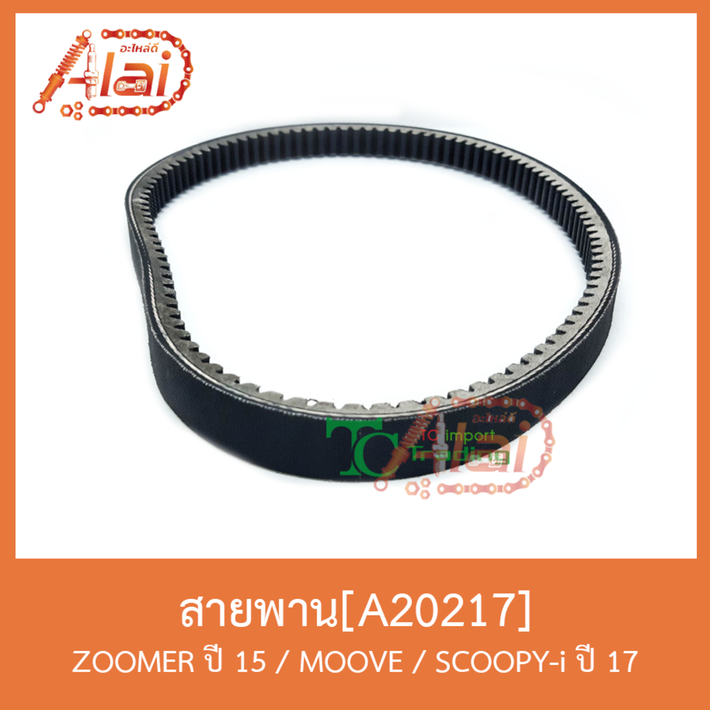 a20217-สายพาน-zoomer-ปี-15-moove-scoopy-i-ปี-17