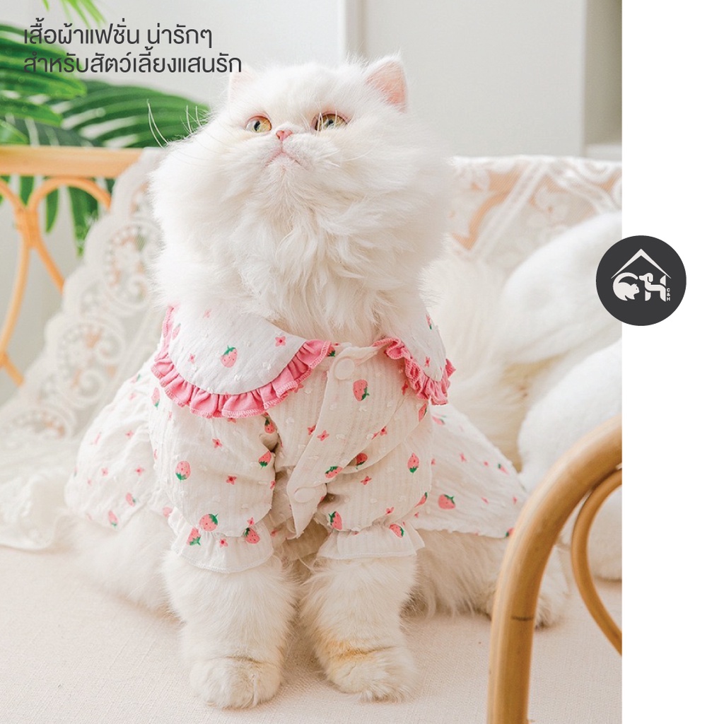 เสื้อผ้าแฟชั่น-ชุดเดรสลายลูกสตรอว์เบอร์รี-สำหรับสัตว์เลี้ยงแสนรัก-น้องแมว-น้องหมา-004