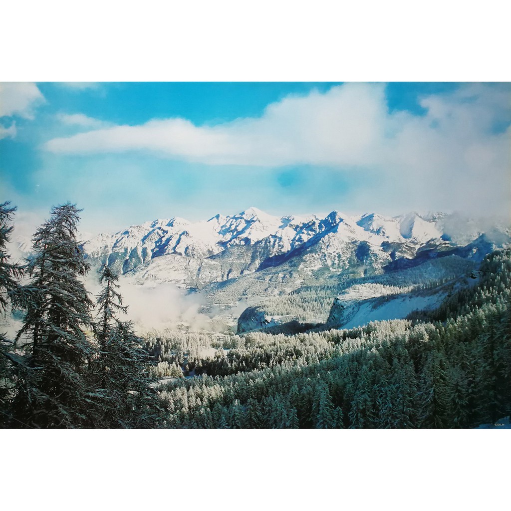 โปสเตอร์-รูปถ่าย-ภูเขาหิมะ-วิว-ธรรมชาติ-landscapes-nature-poster-24-x35-inch-high-mountain-range-snow-pine-forest